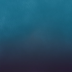 Investors 19 Team Blank