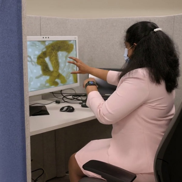 Glasses-Free 3D Platform 22 Blog RWJ