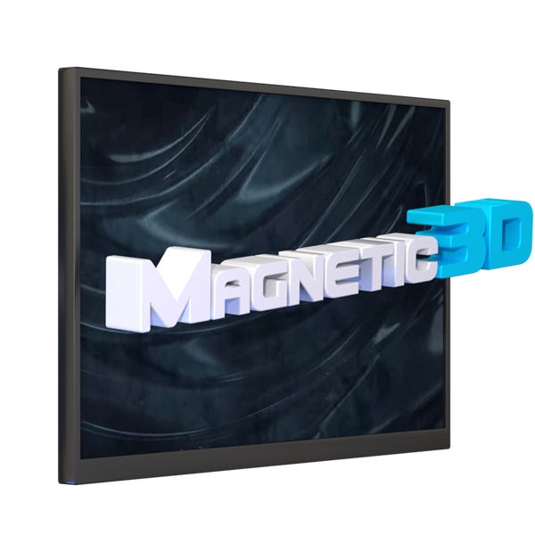 Company 29 Software Output